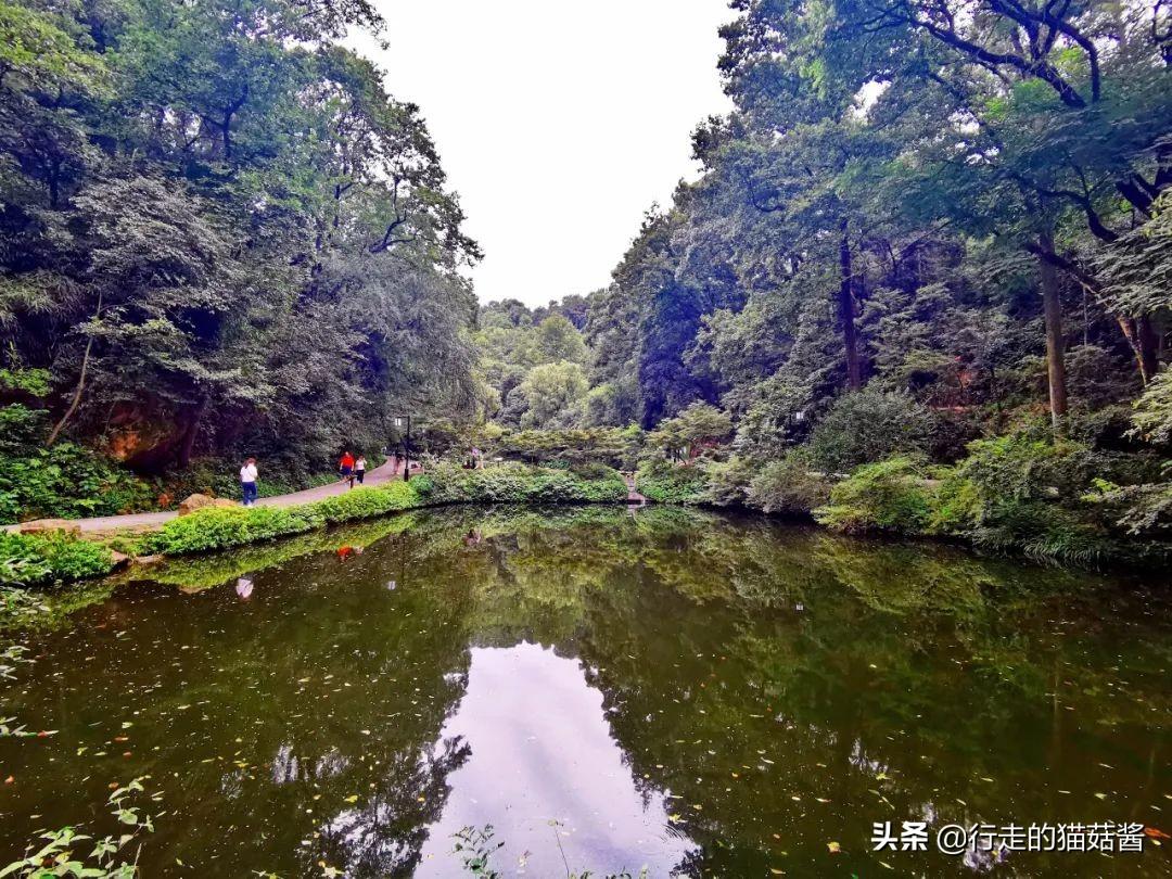 雨夜思绪 第4页