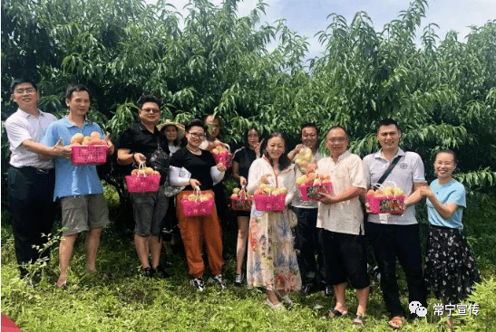 头堰村乡村振兴新篇章，社区发展新动态报道