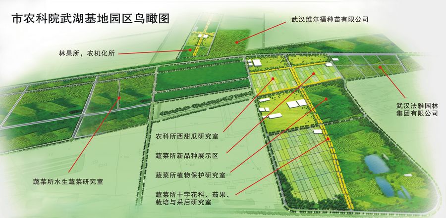 维扬区自然资源和规划局最新发展规划