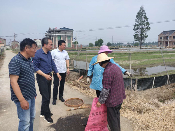 晏塘镇最新新闻报道综述